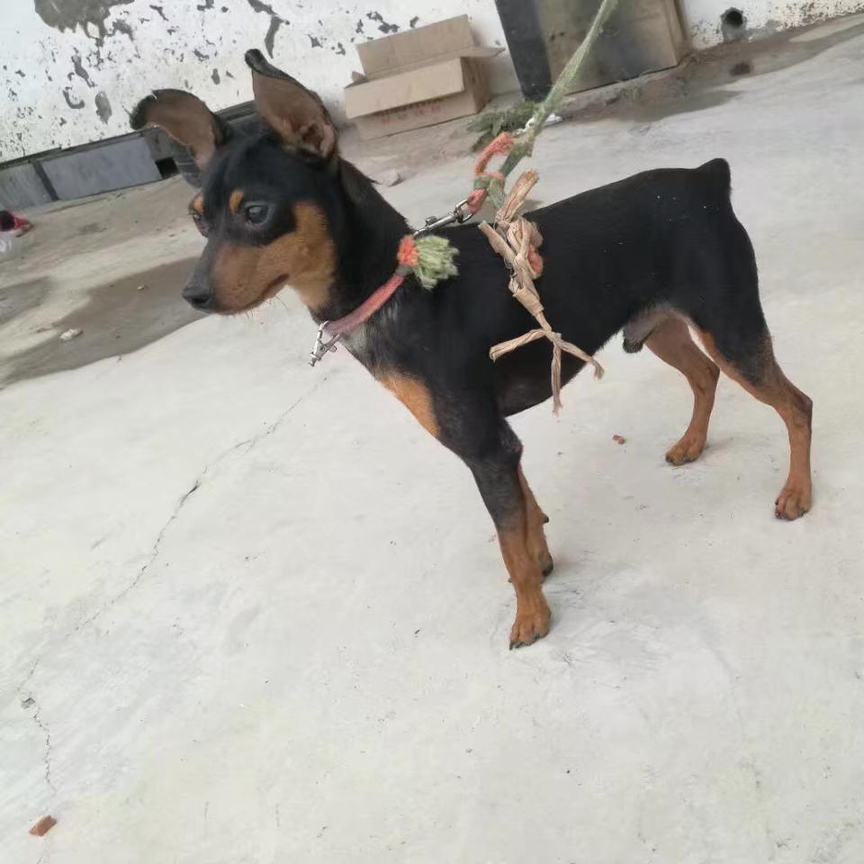编辑昵称好麻烦