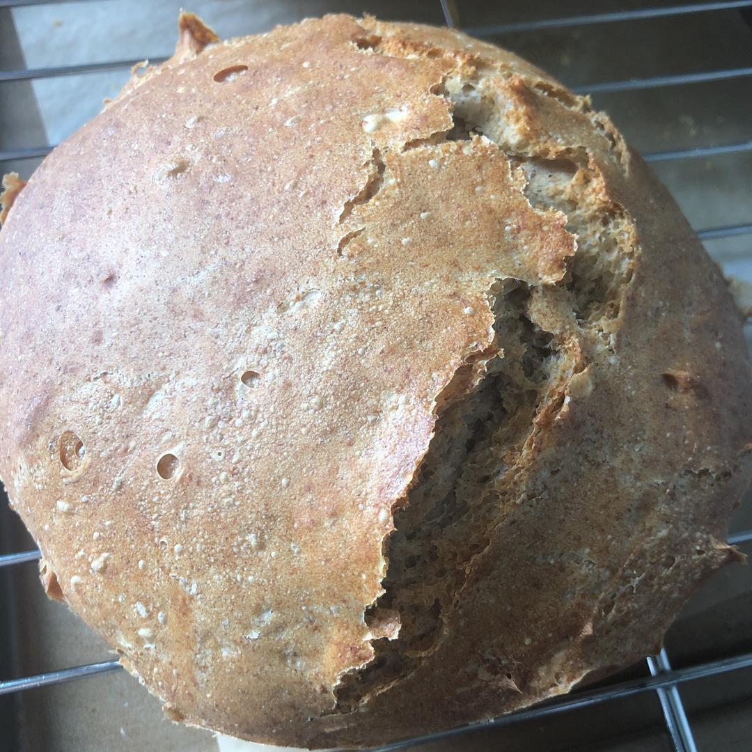 欧包/乡村面包-无油不用揉 No Knead Bread