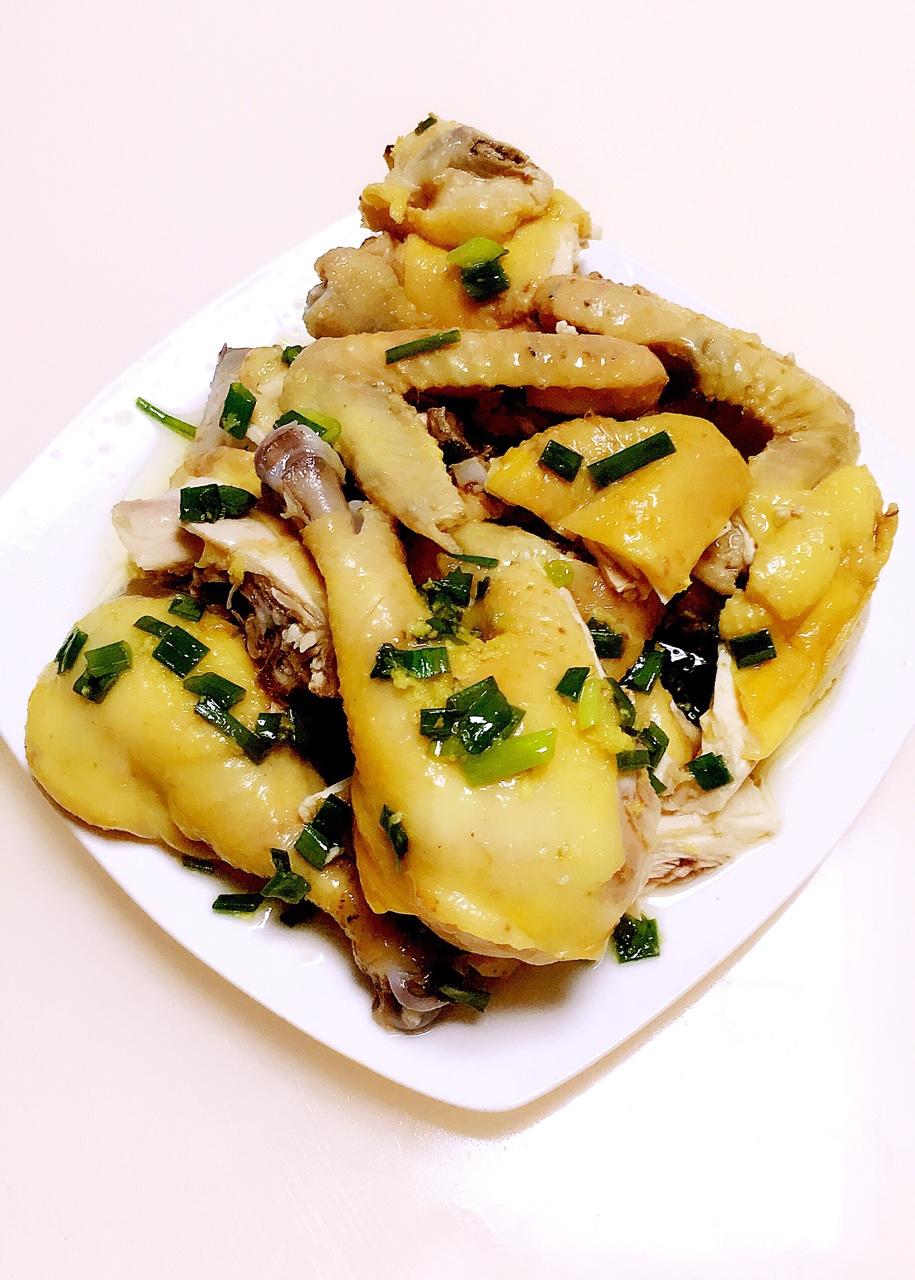 尛卟訂做的葱油鸡(多图～存档)葱油鸡(多图～存档)