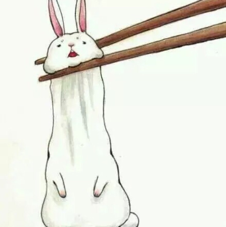 兔女王大人