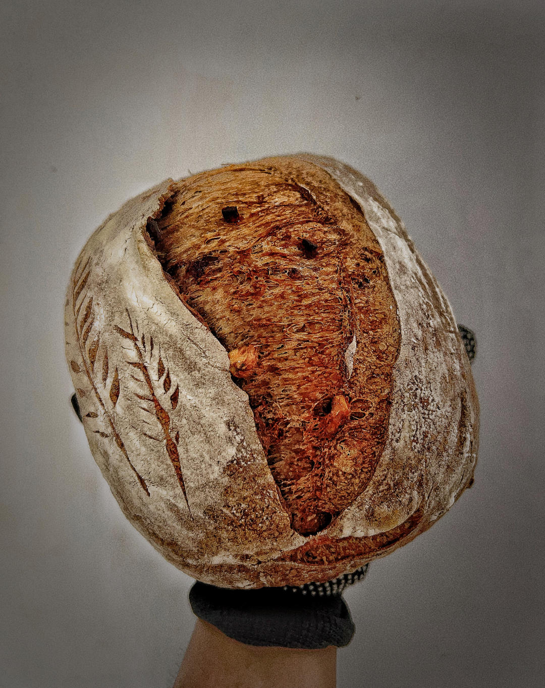 基础可可硬欧包丨鲁邦种