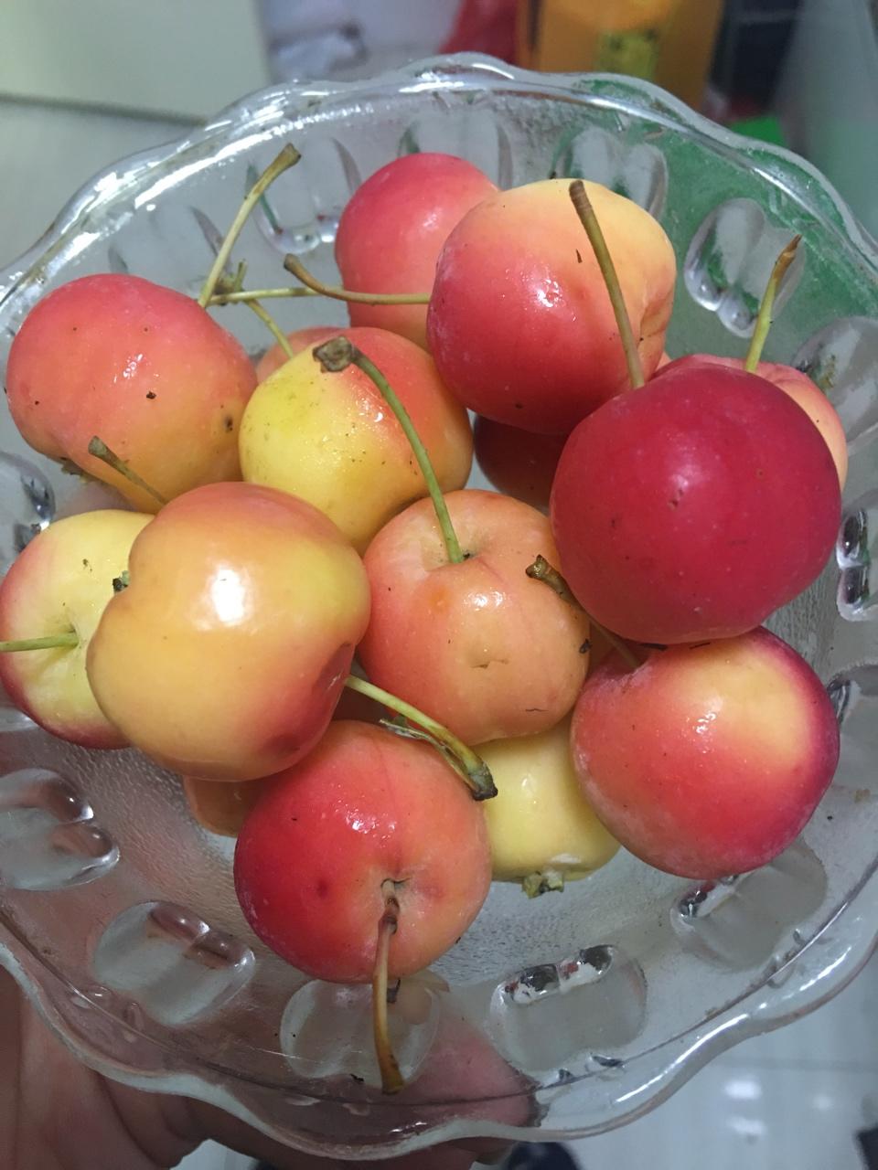 清舞雪痕做的冰糖海棠