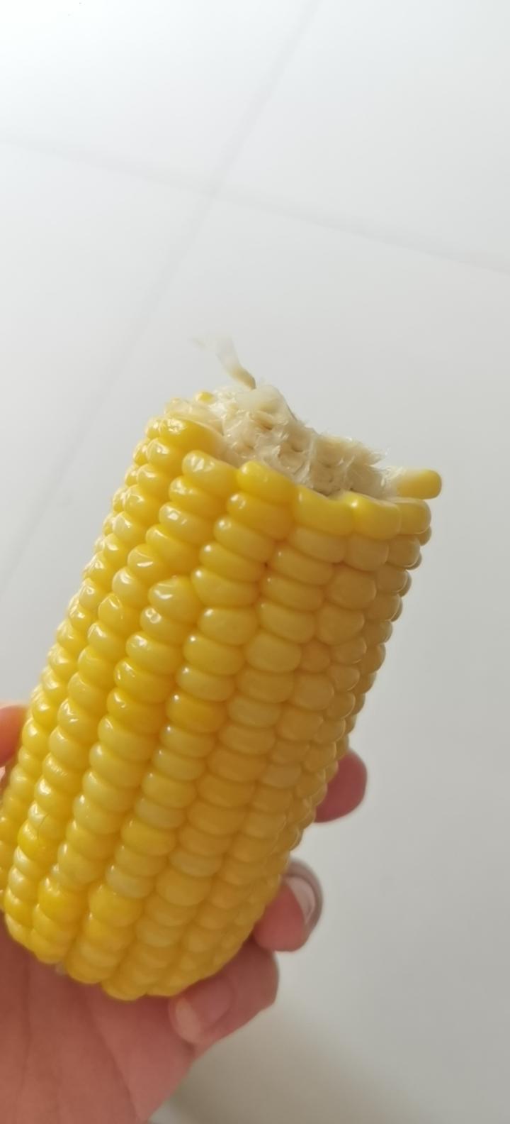 12月早餐马拉松