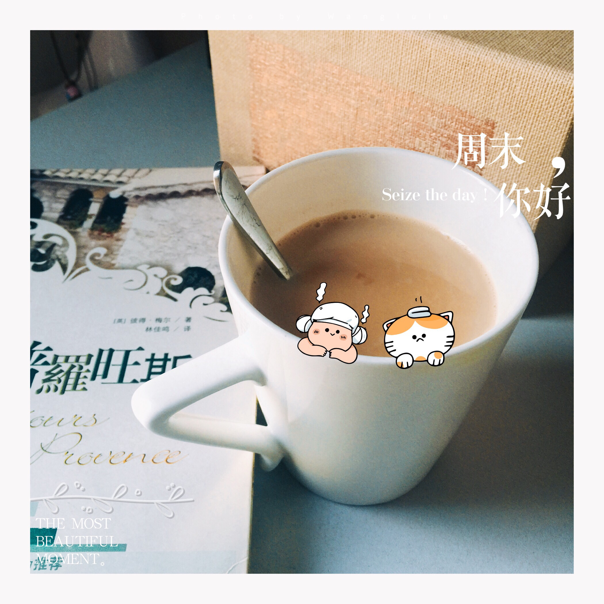 浓浓的锅煮奶茶