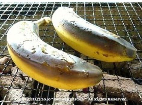 炭烧香蕉的做法
