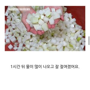 韩式腌萝卜的做法 步骤9