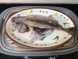 年年有鱼之清蒸鱼-摩飞极速蒸炖锅的做法 步骤3