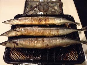 盐烤秋刀鱼的做法 步骤4