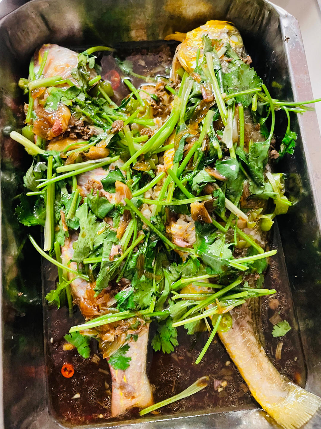 榄角（乌榄，黑榄）蒸鱼