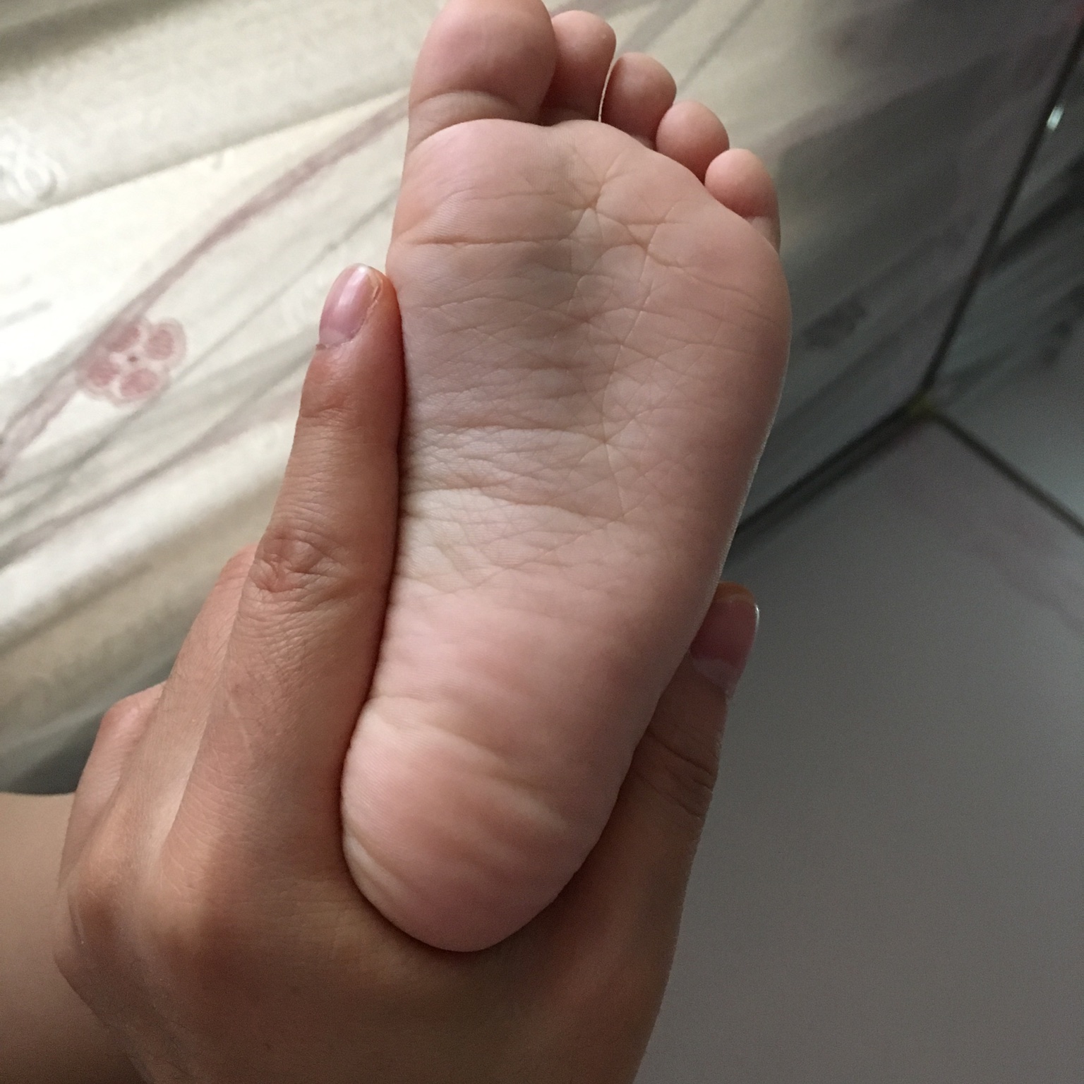 花鲫鱼小妖