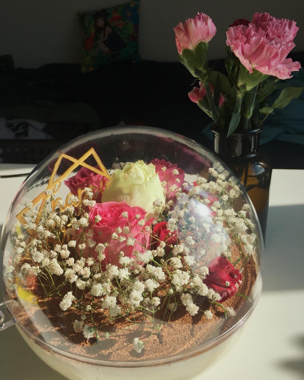 提拉米苏（硬身版）