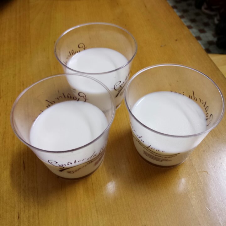 椰汁牛奶布丁