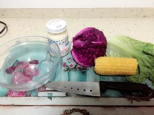 紫甘蓝沙拉的做法 步骤1