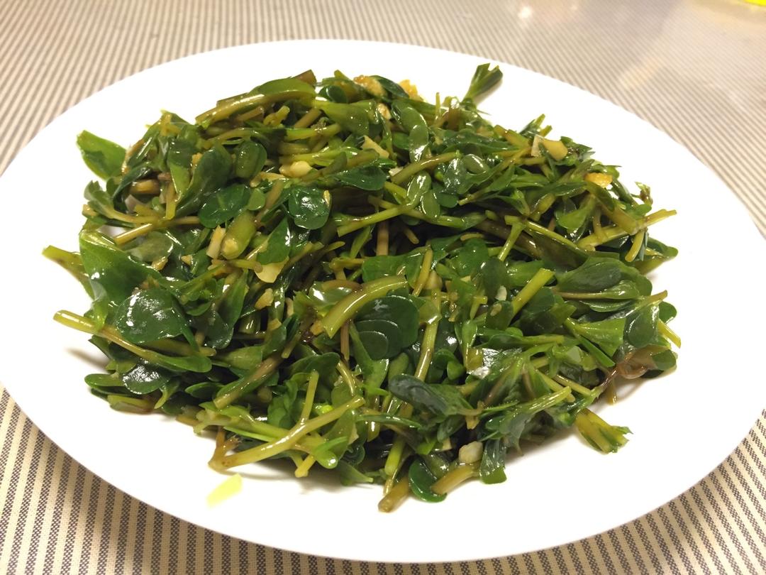 凉拌马齿苋
