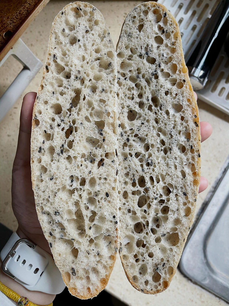 9升烤箱的食物探索
