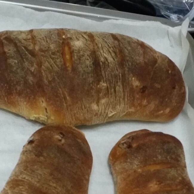 全麦蔓越梅粗粮面包