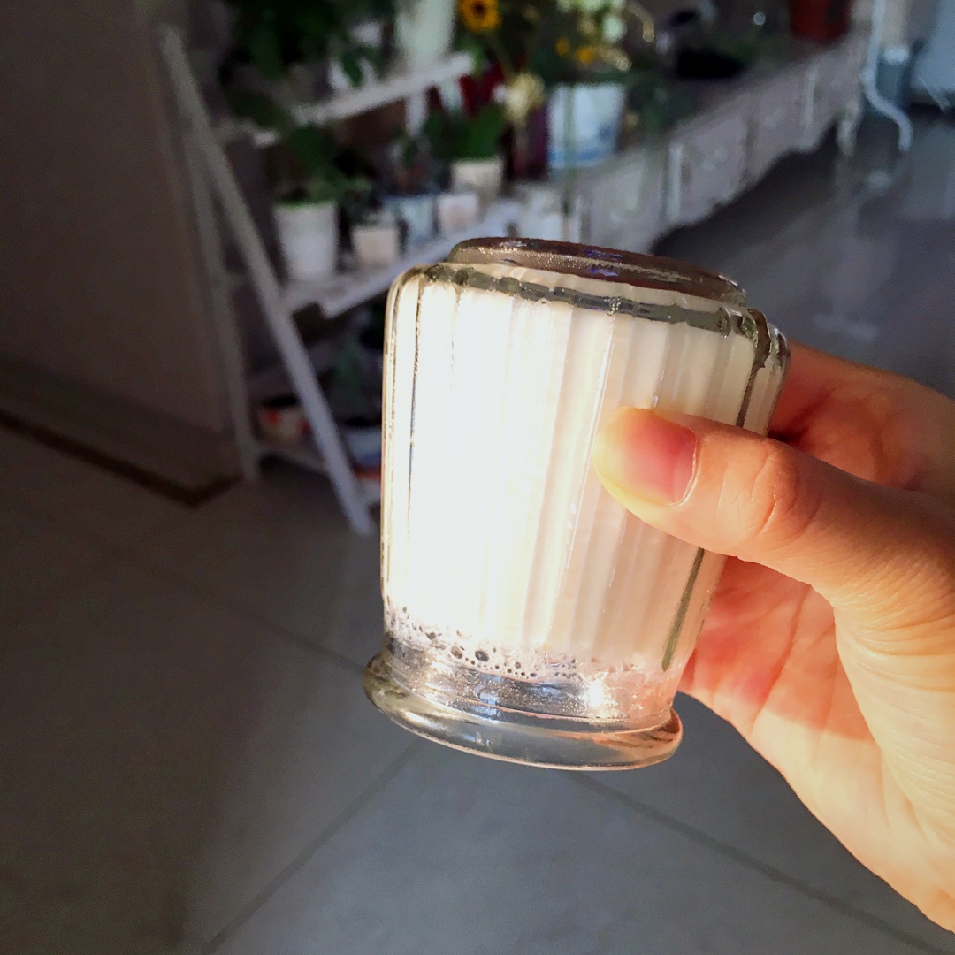 香草牛奶冻 Milk Jelly