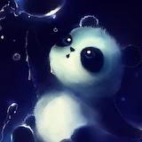 贝贝Baby1211