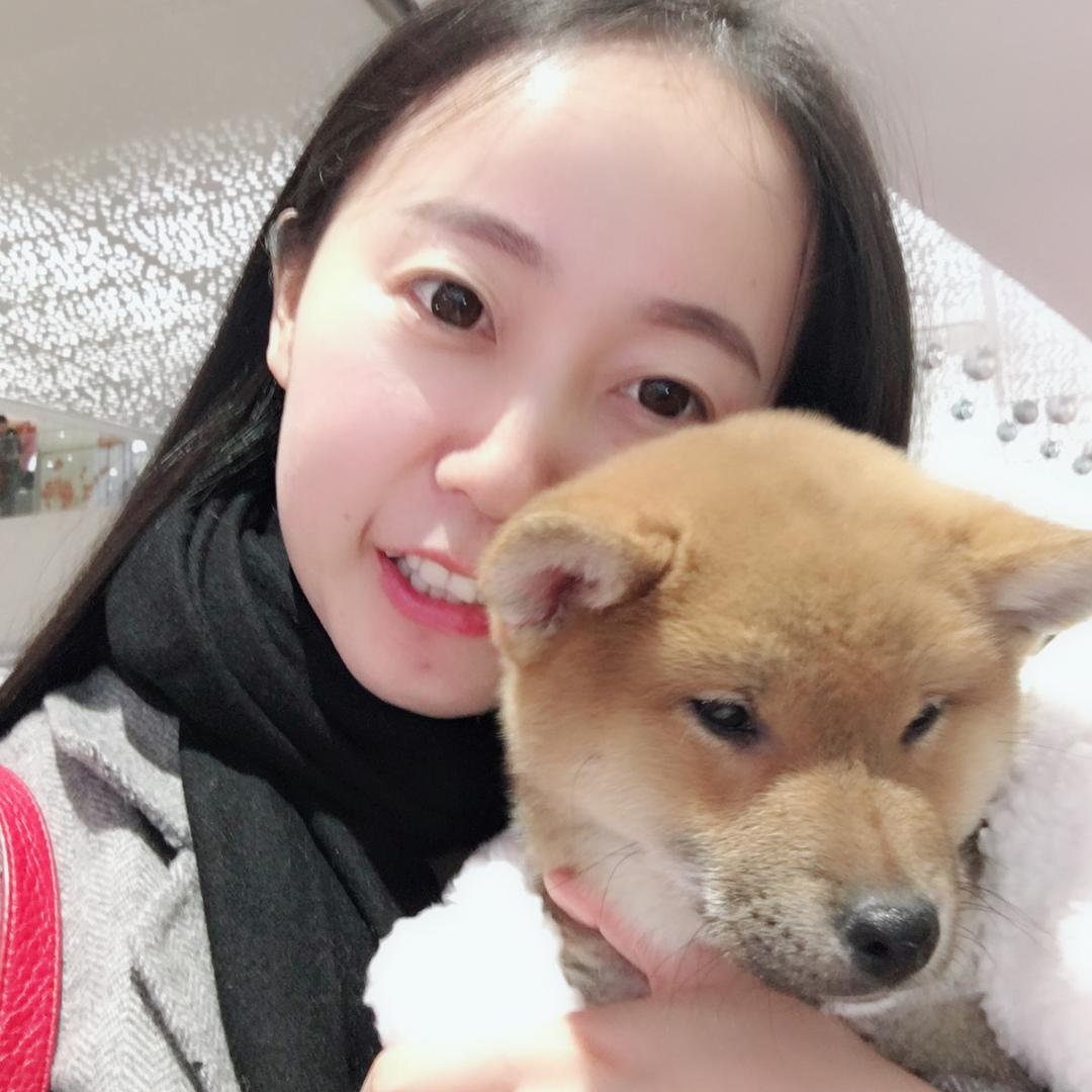 江小鸟