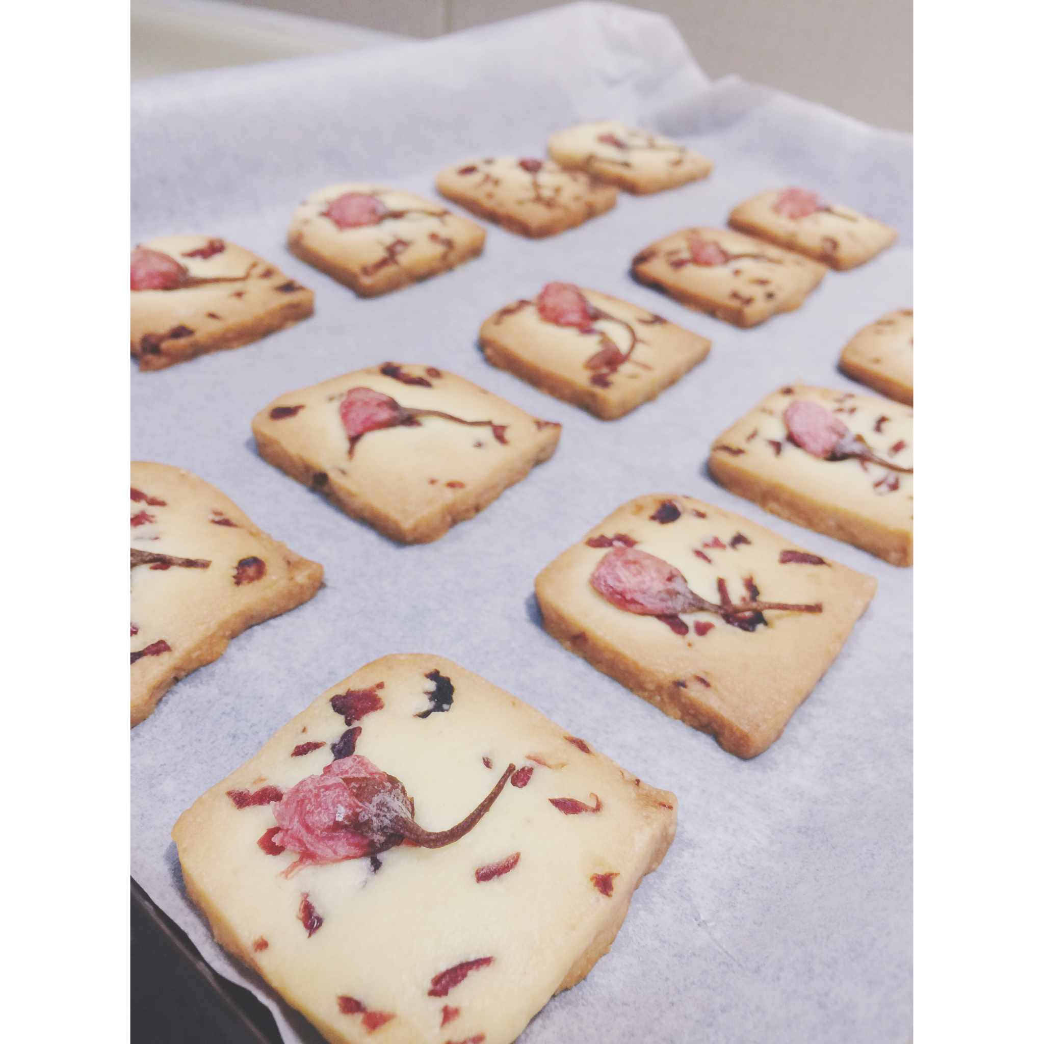 《Tinrry+》蔓越莓曲奇（超简单曲奇配方）