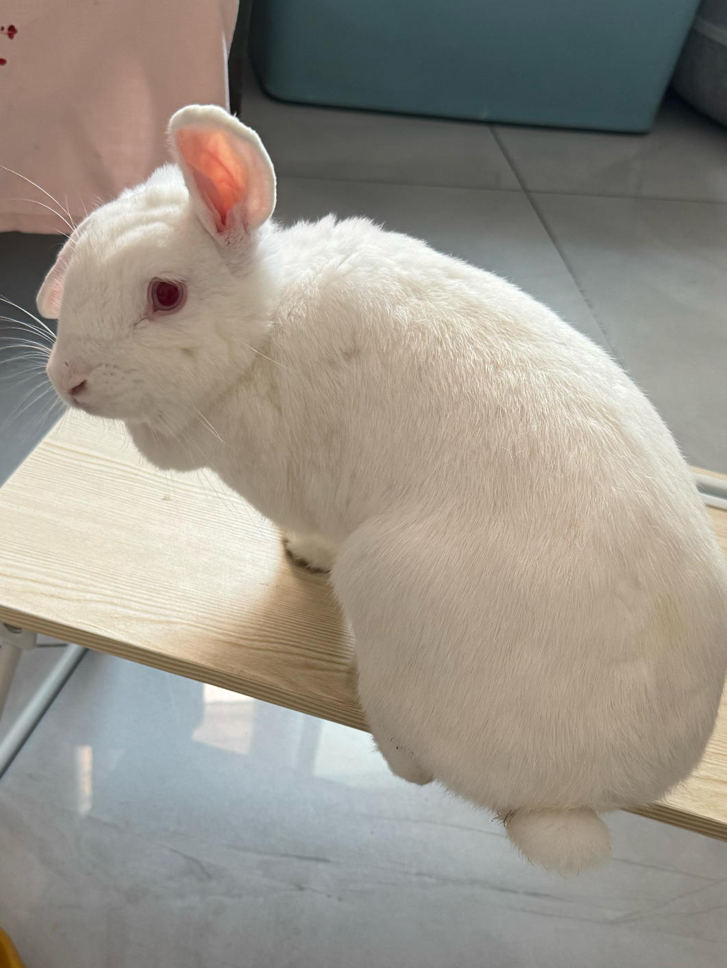 黑暗料理日记本