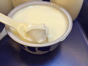 超级简单易做的意式奶冻的做法 步骤4