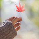 手机用户0801_nwt9