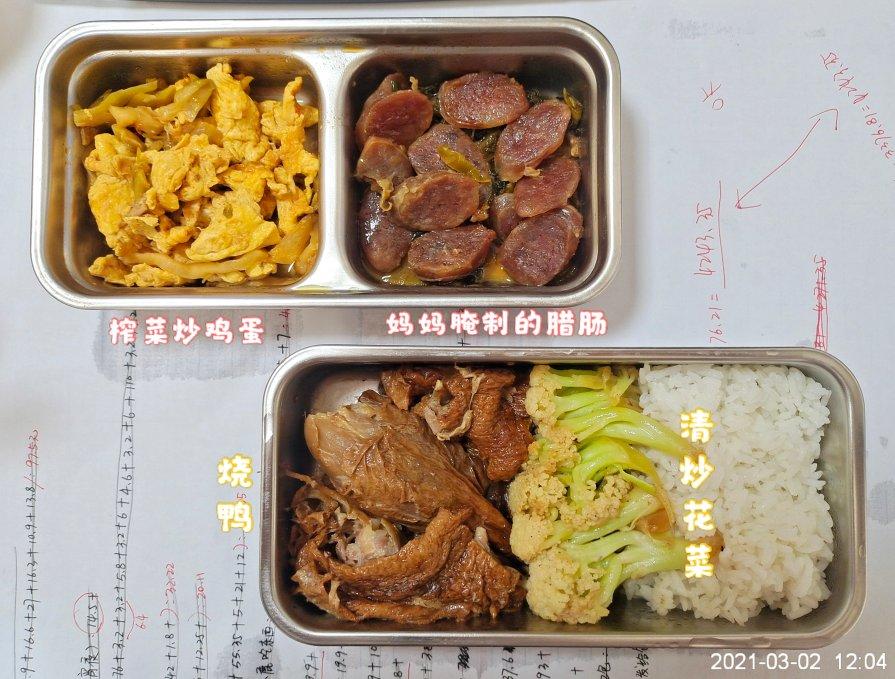 电热饭盒带饭便当系列🍱