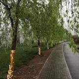 手机用户1099_i1bz