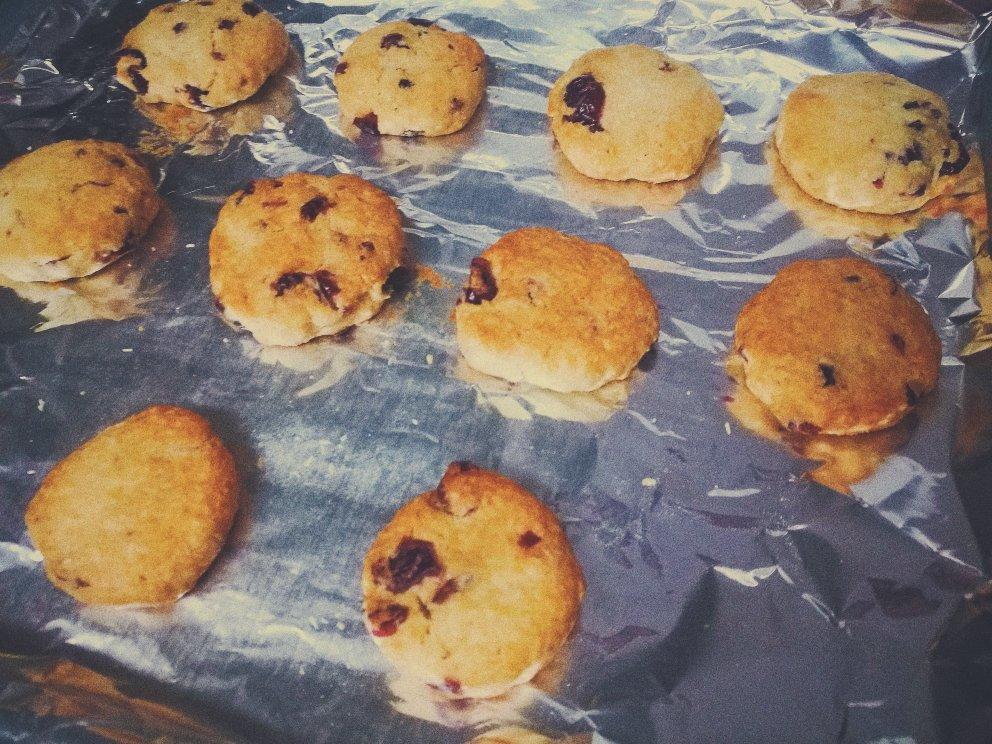 蔓越莓椰子曲奇 Cranberry & Coconut Cookies