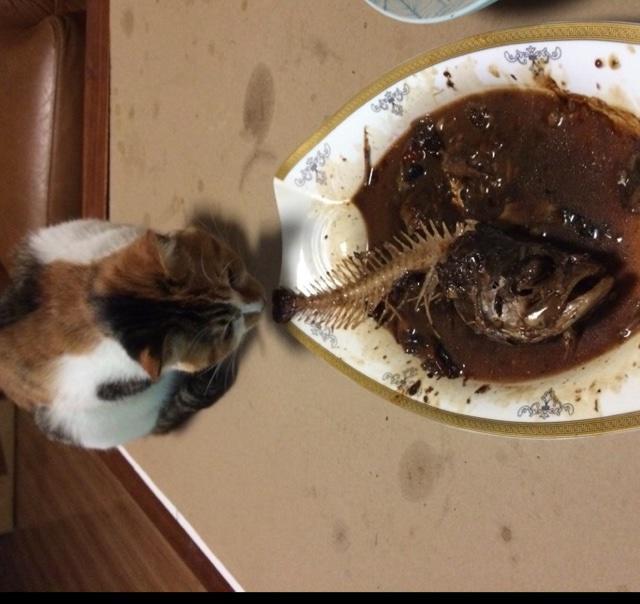 黄山名菜—臭鳜鱼