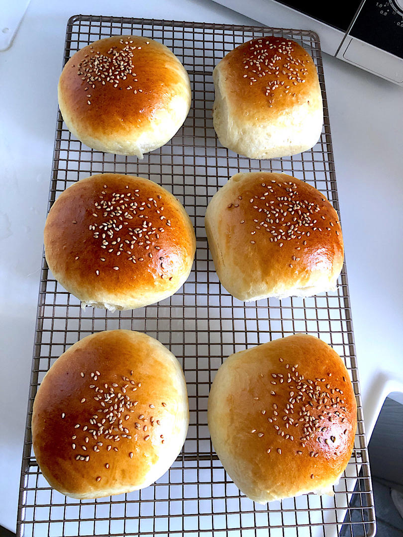 汉堡胚 poolish（波兰种）