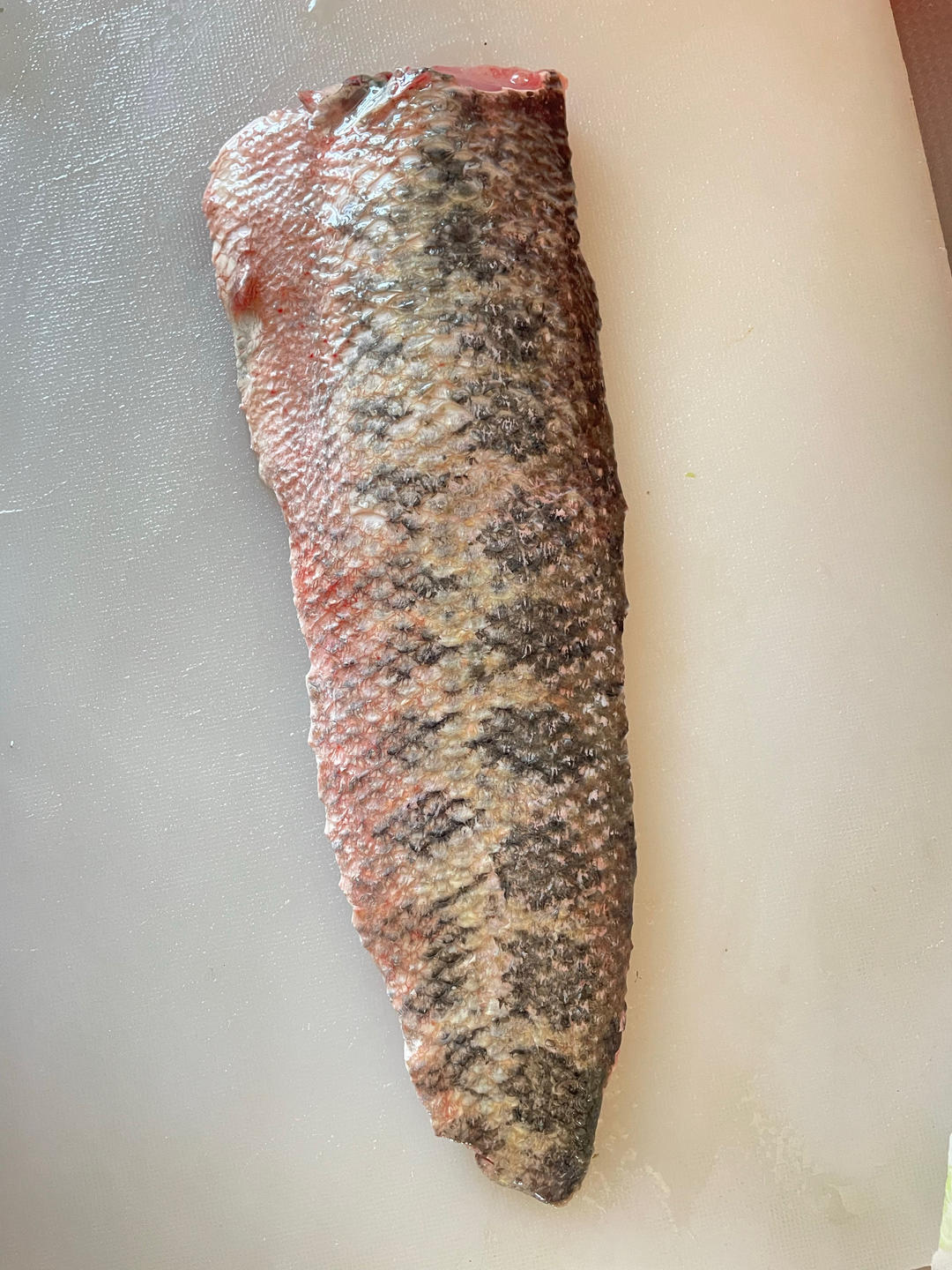 黑鱼片的切法🐟