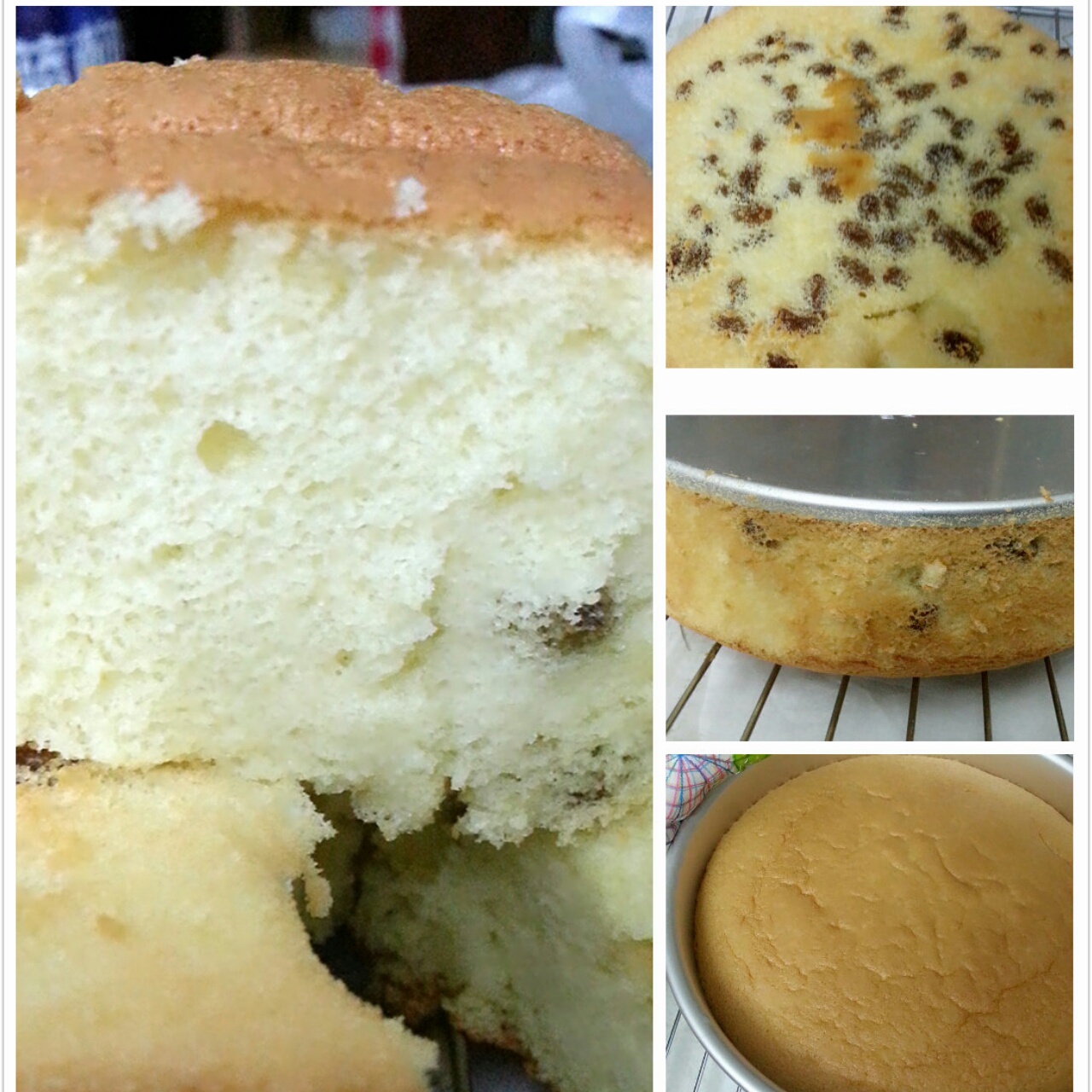 8寸戚风蛋糕（改良君之配方）#皮黑森林#