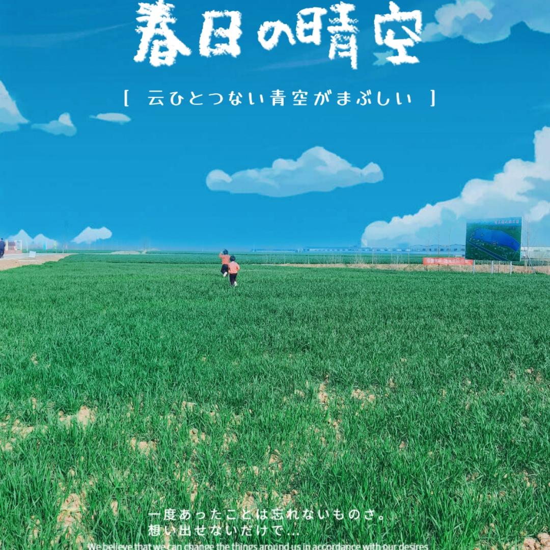 十二桥