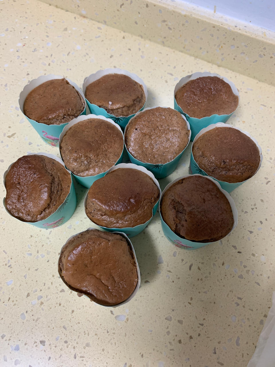 空气炸锅/烤箱纸杯蛋糕