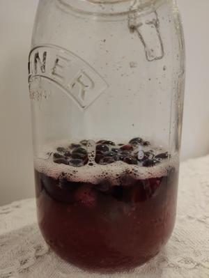 天然酵种·蓝莓酵液/酵种的做法 步骤7