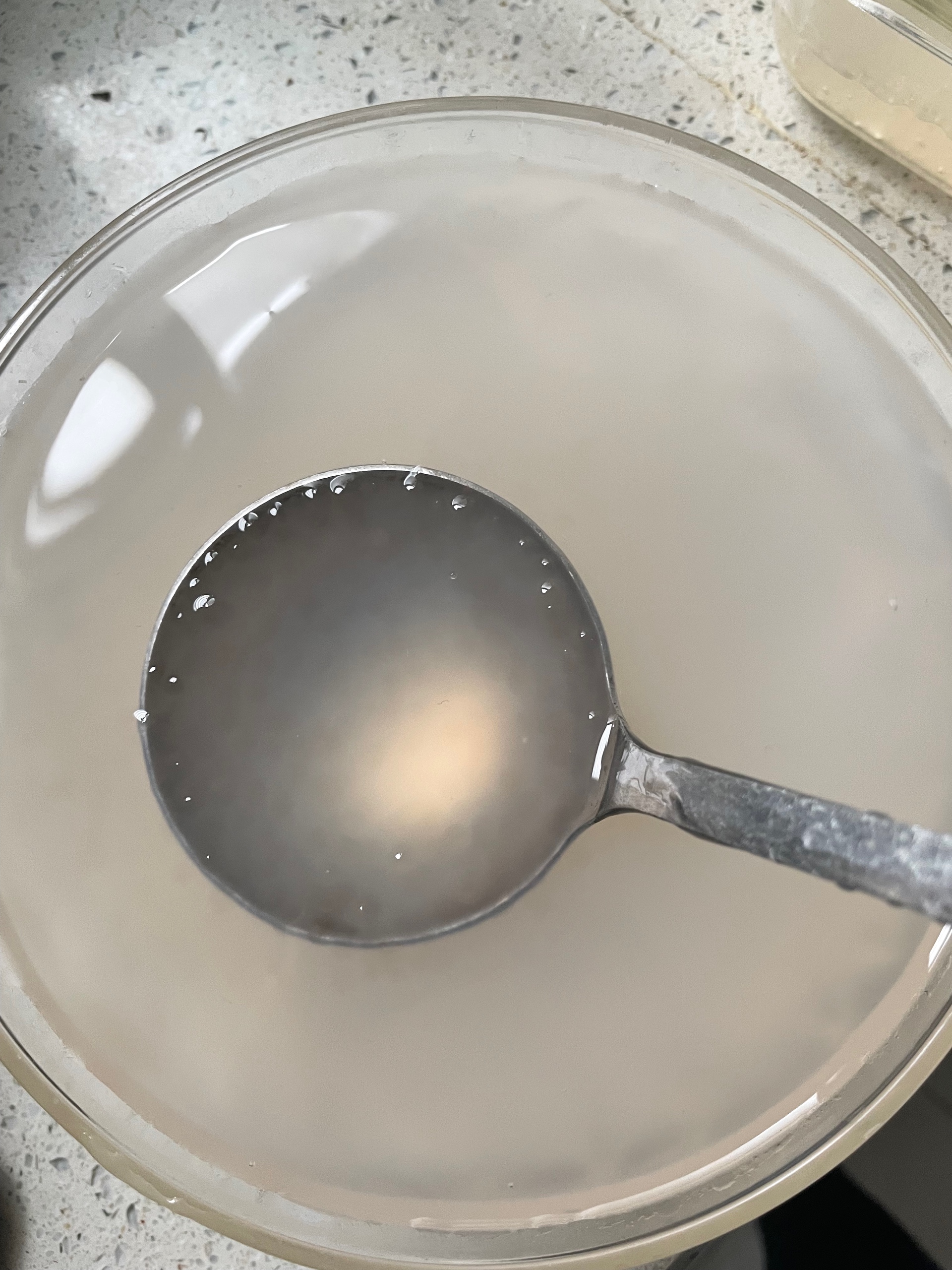 红豆椰汁牛奶西米露的做法 步骤4