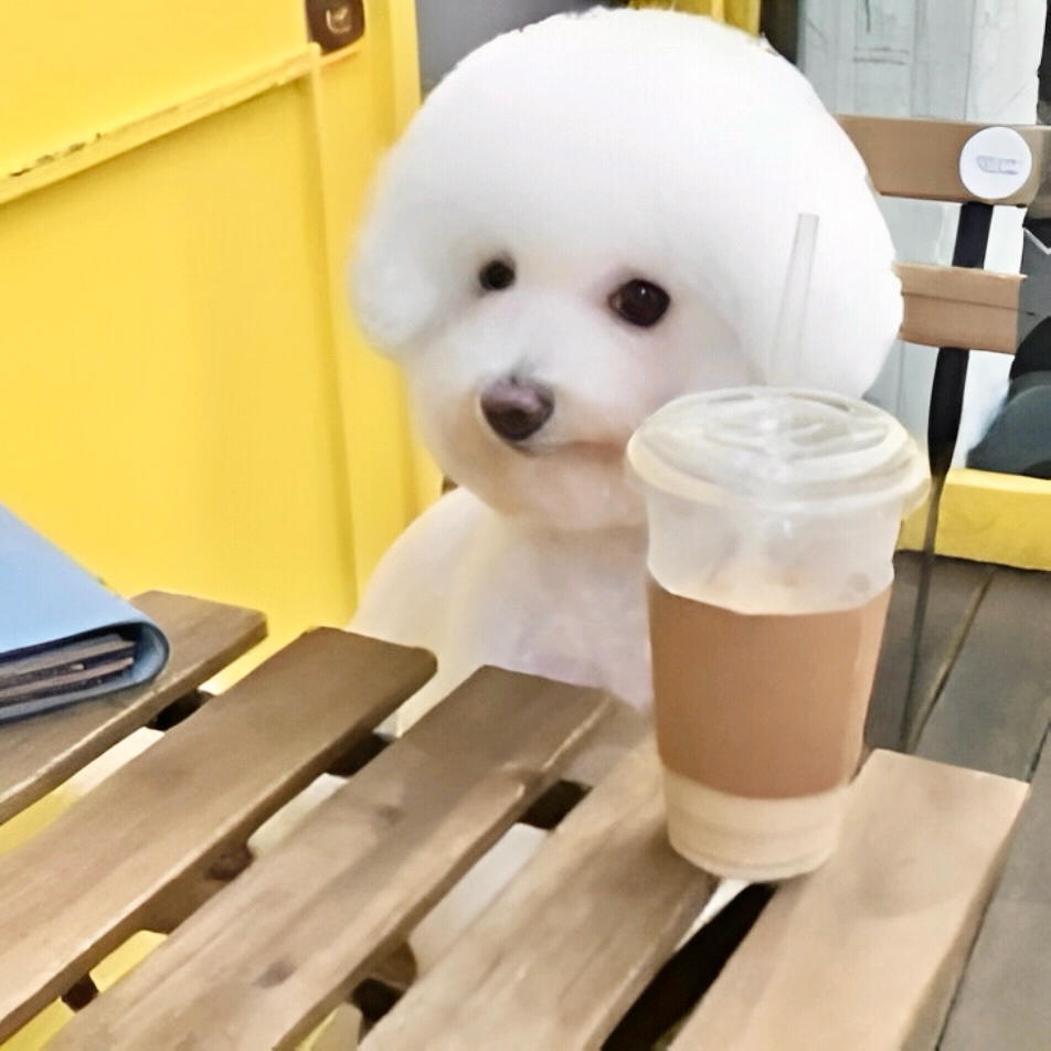 im白白