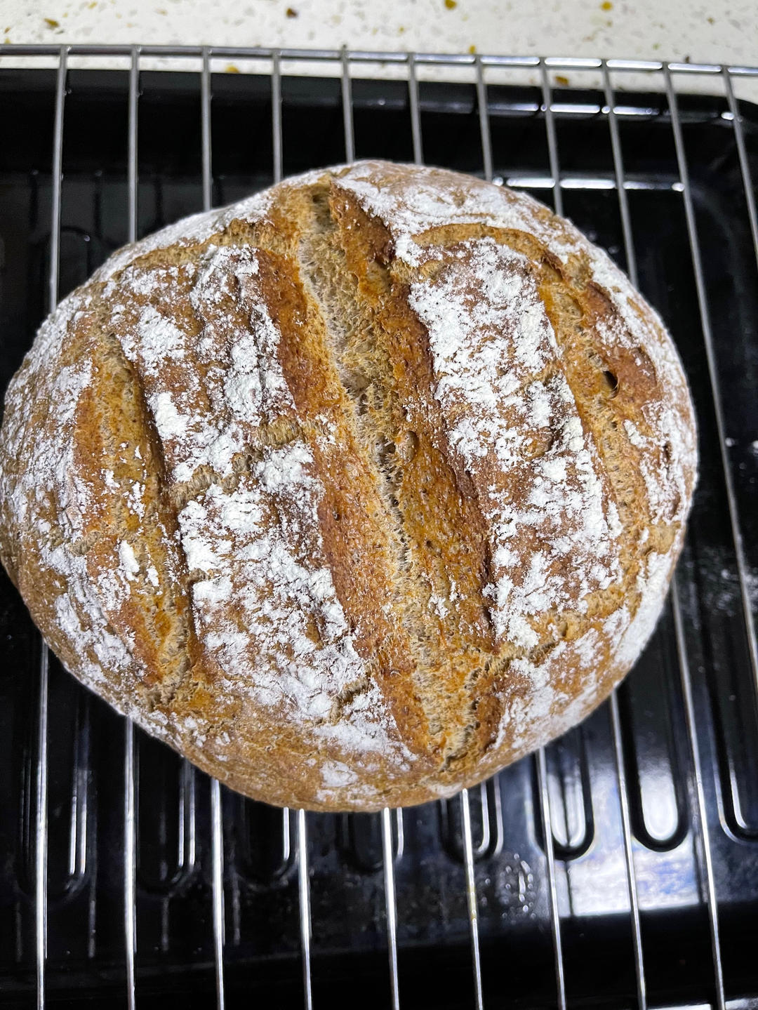 德国婆婆秘方·只多一料·香得上天的全麦核桃蔓越欧包