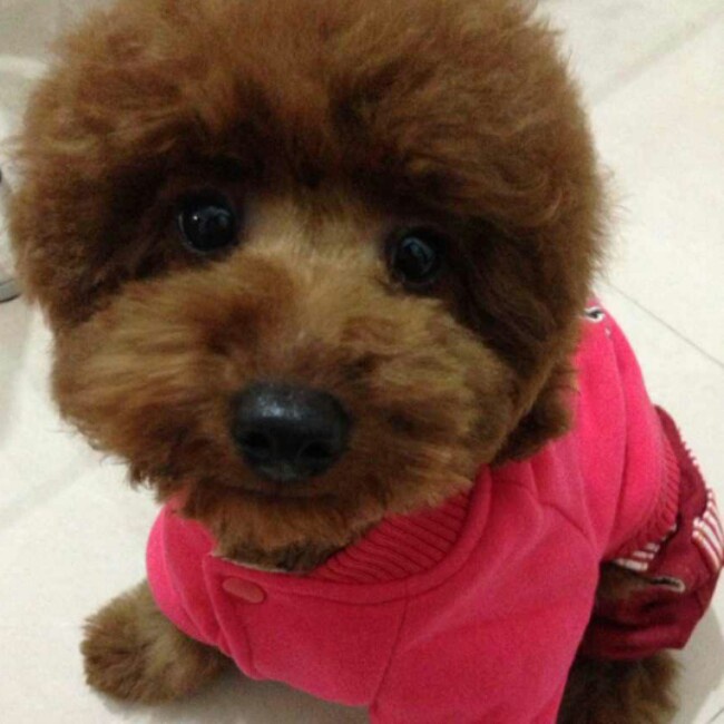 晚餐•2014年8月3日