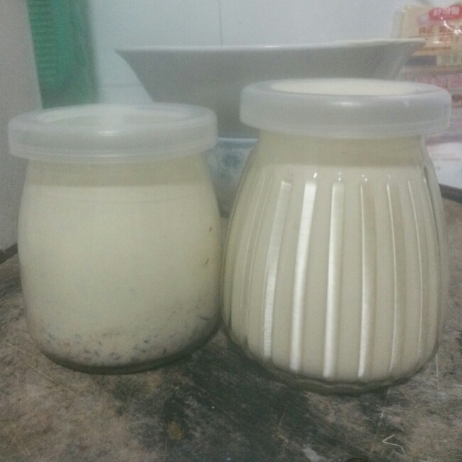 自制哈根达斯风味的冰淇淋