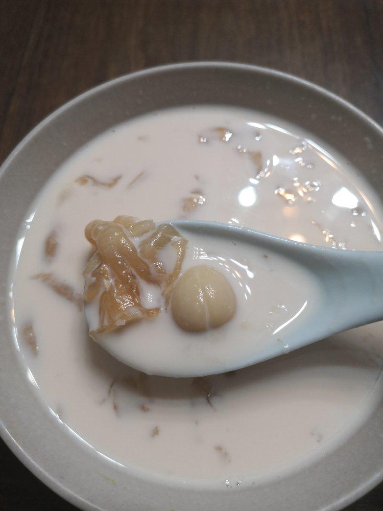 牛奶炖花胶