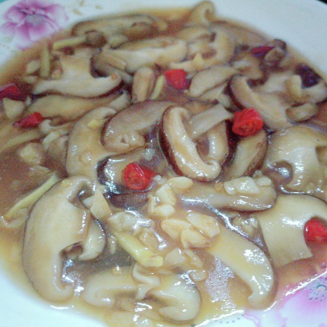 鲜美无比的蚝油香菇