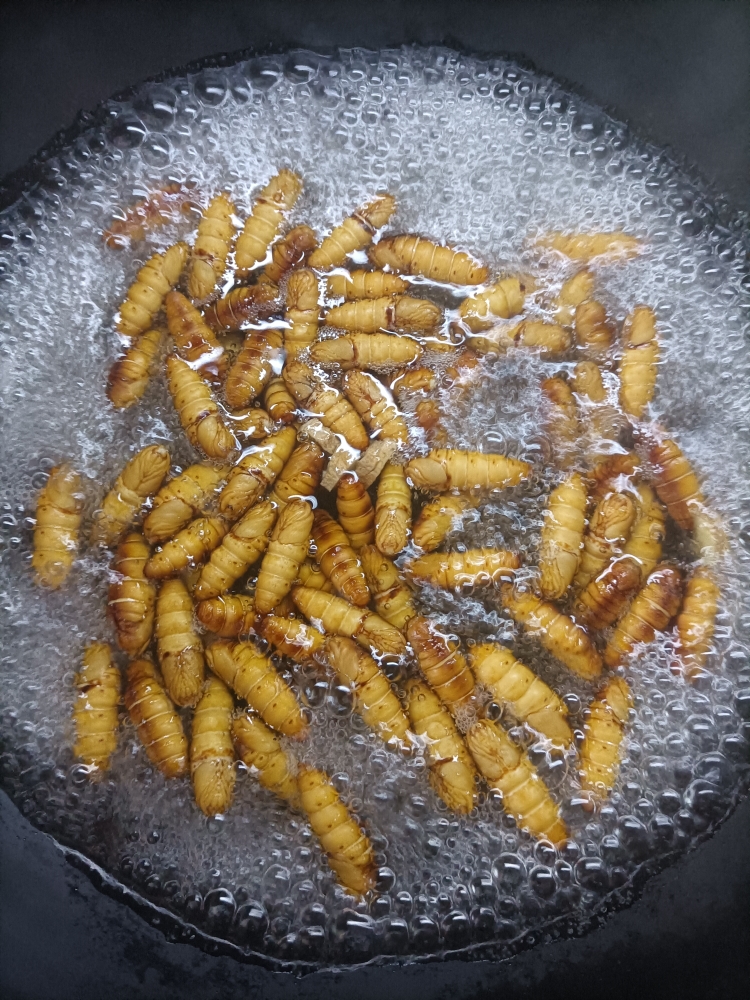 椒盐蚕蛹的做法 步骤1