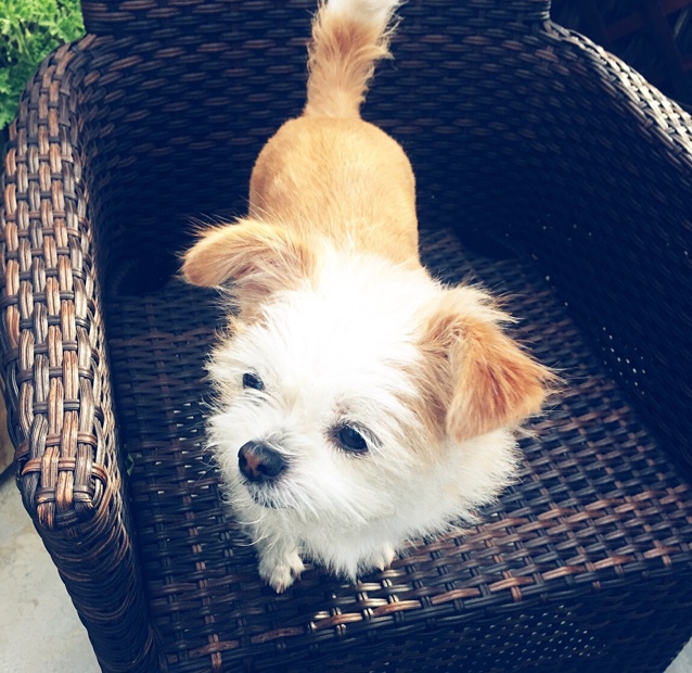 天台烧烤趴，物业知道嘛？