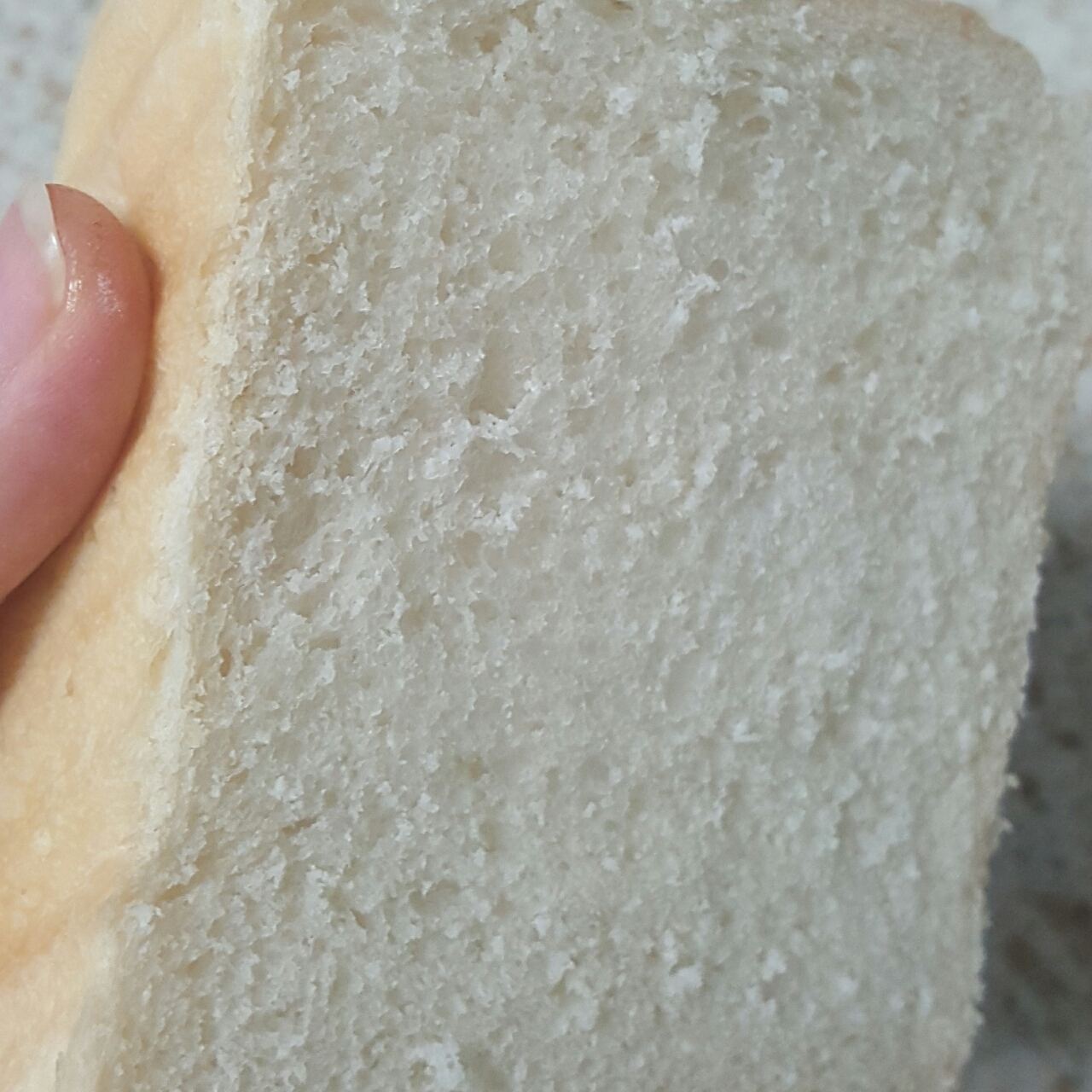 低热量白土司(新疆天山面粉版)