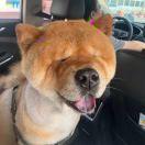 手机用户2099_on1w