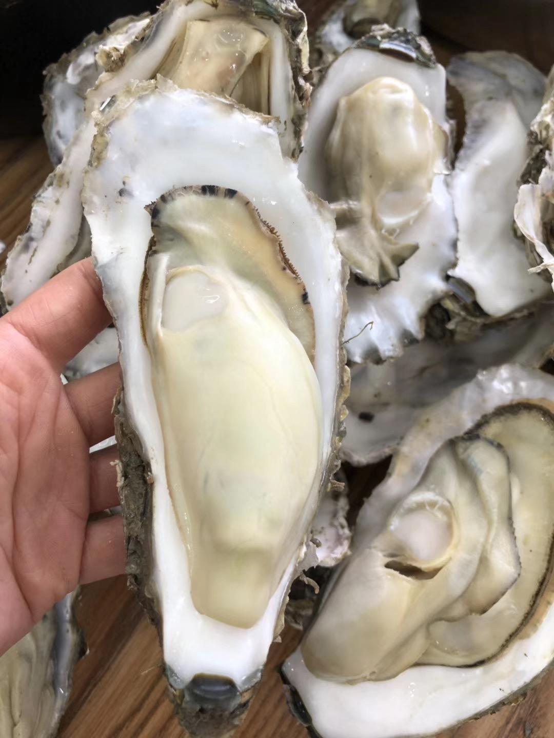 蒸牡蛎