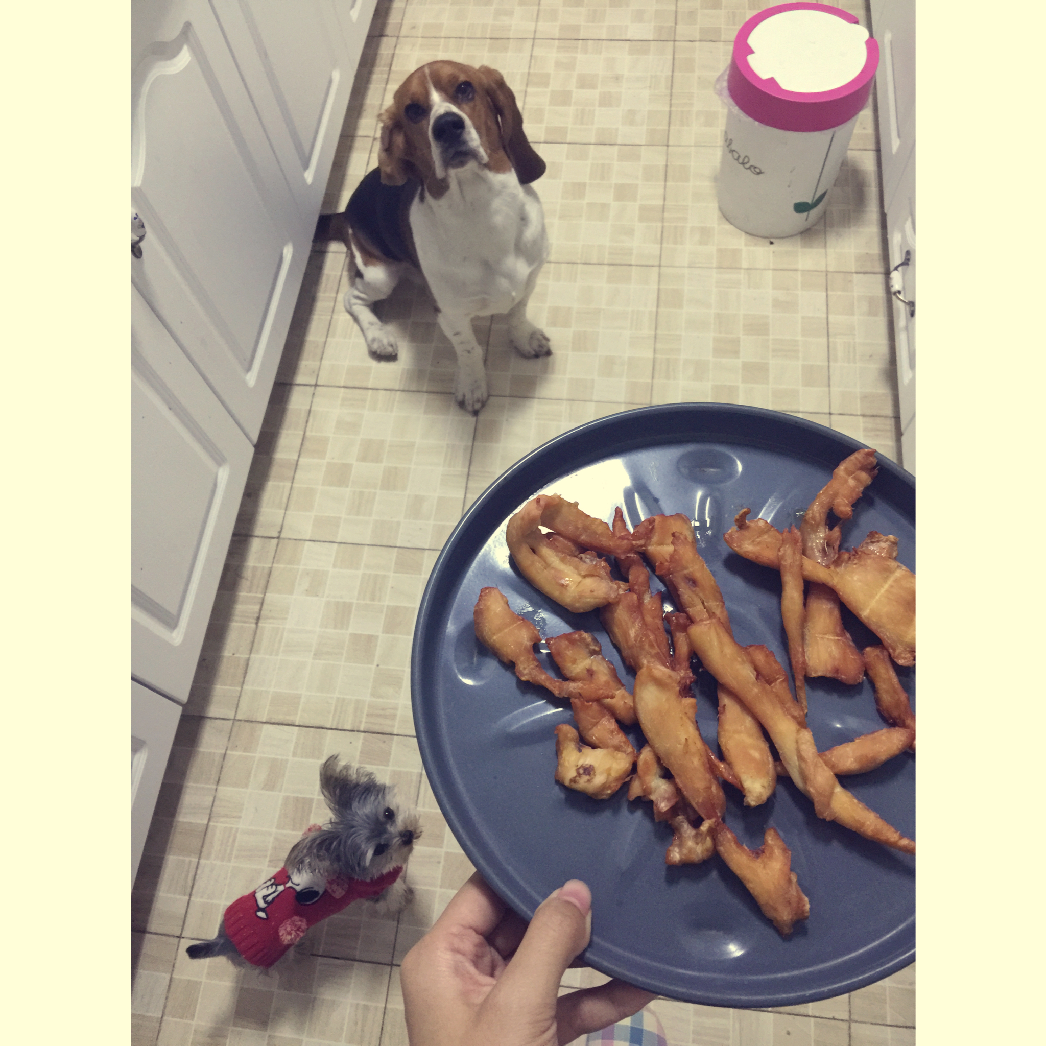 狗狗奖励零食——鸡肉干